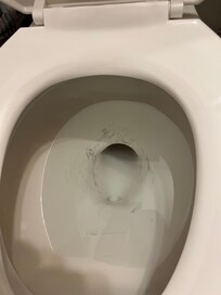 Stains in toilet did not look clean