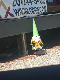 Cute decor outside as we pulled up