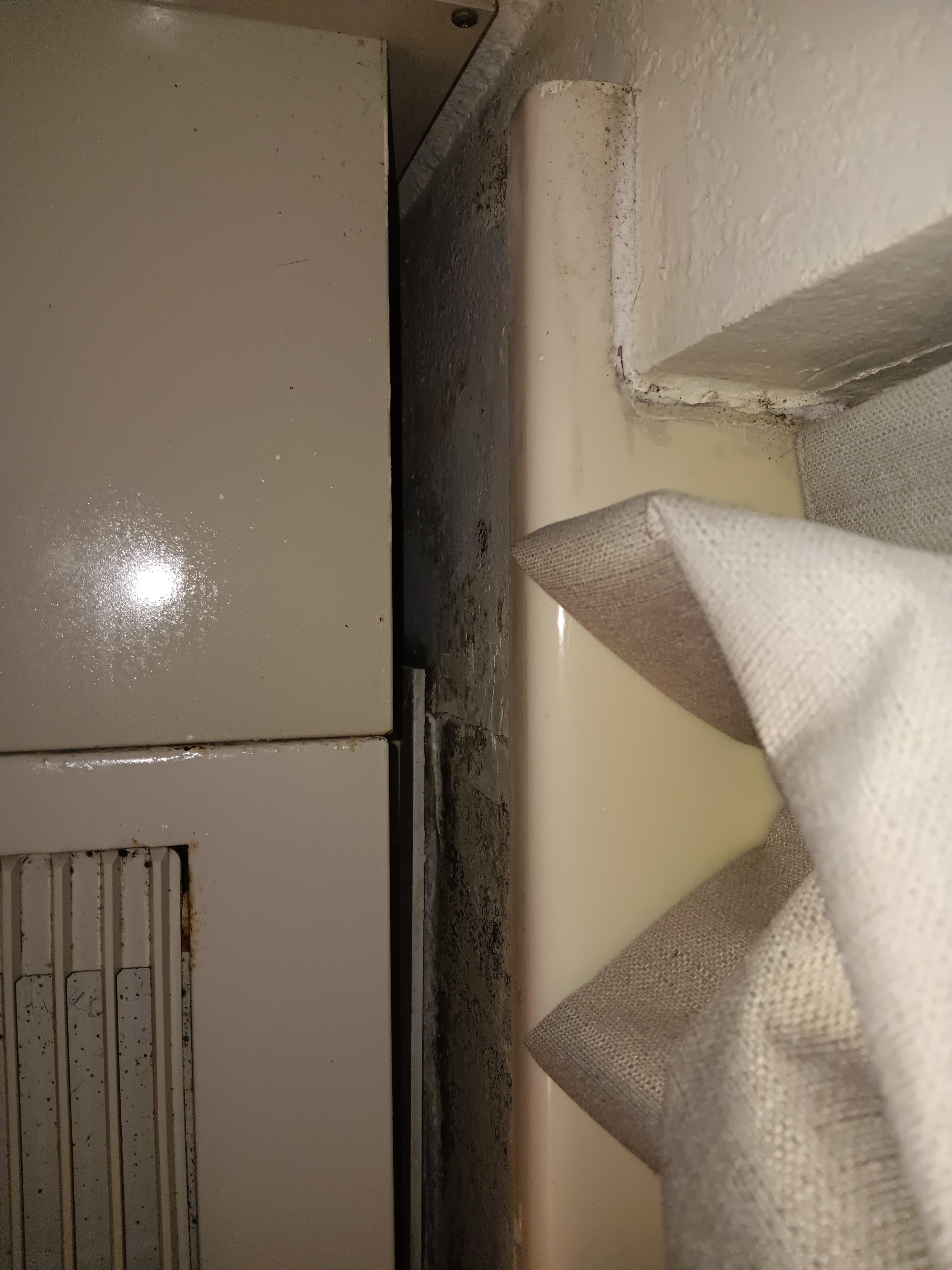Mold behind a/c unit