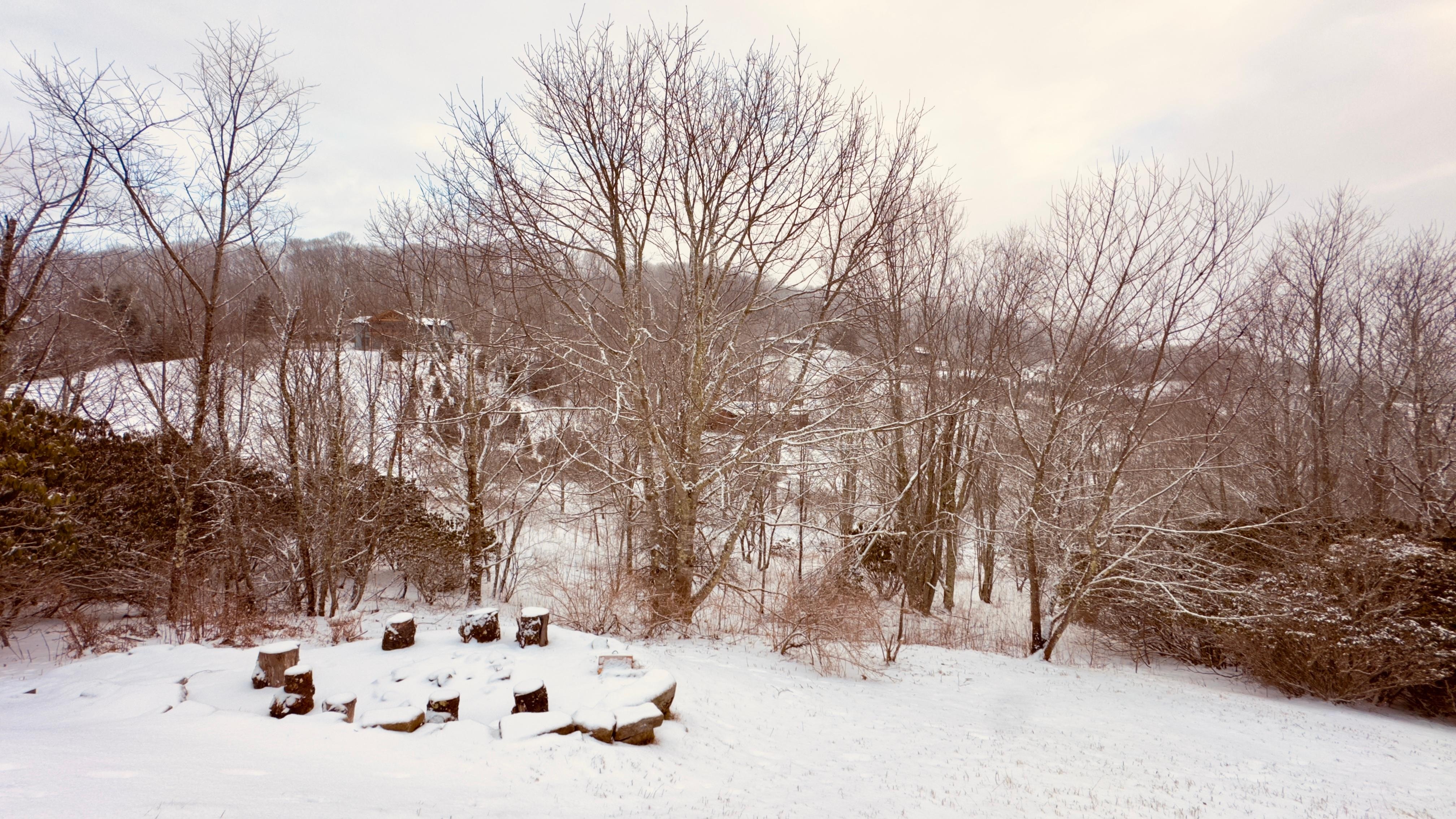 Winter 2026 view off decks