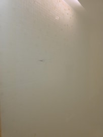 Hair in shower
