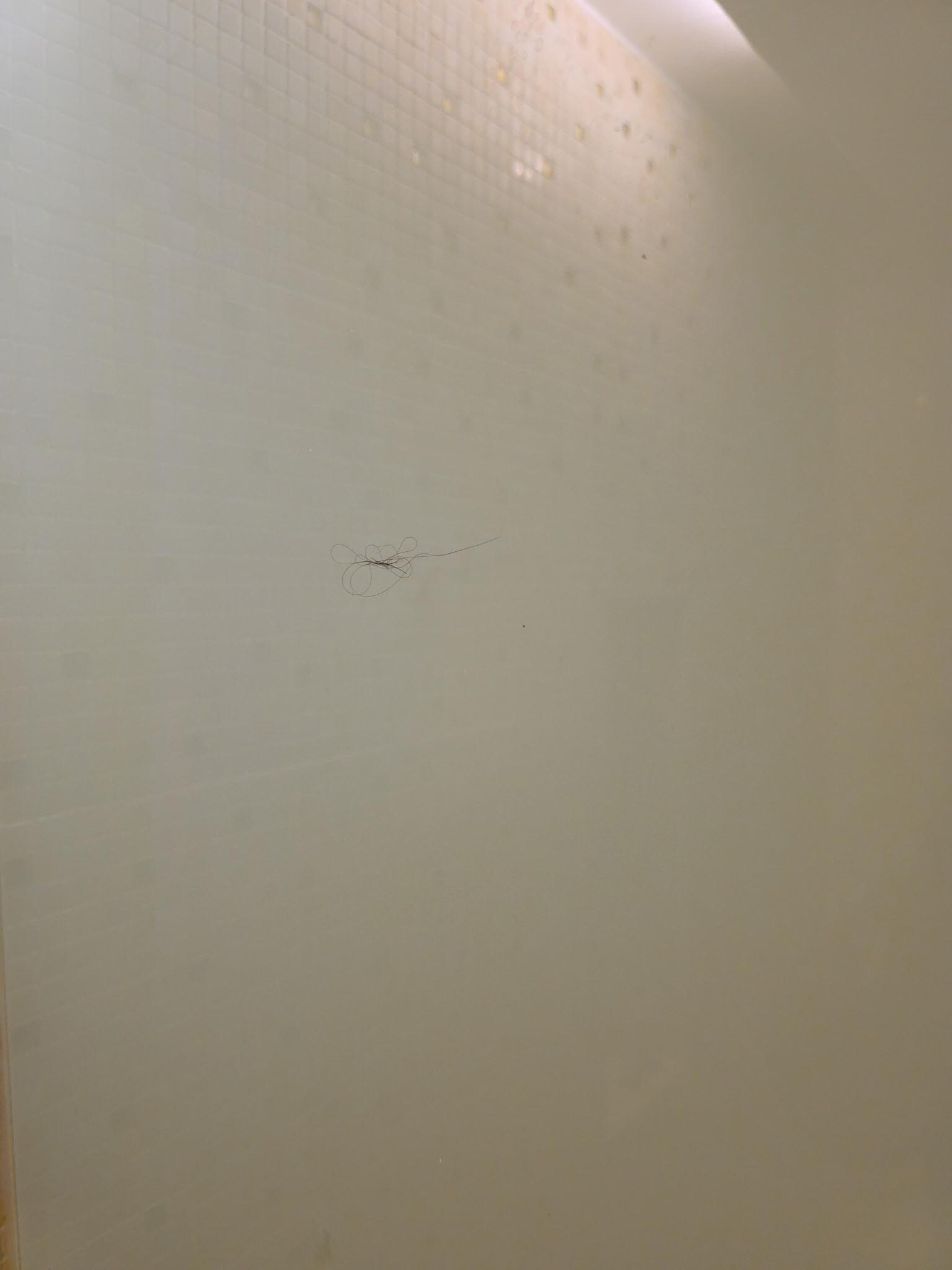 Hair in shower