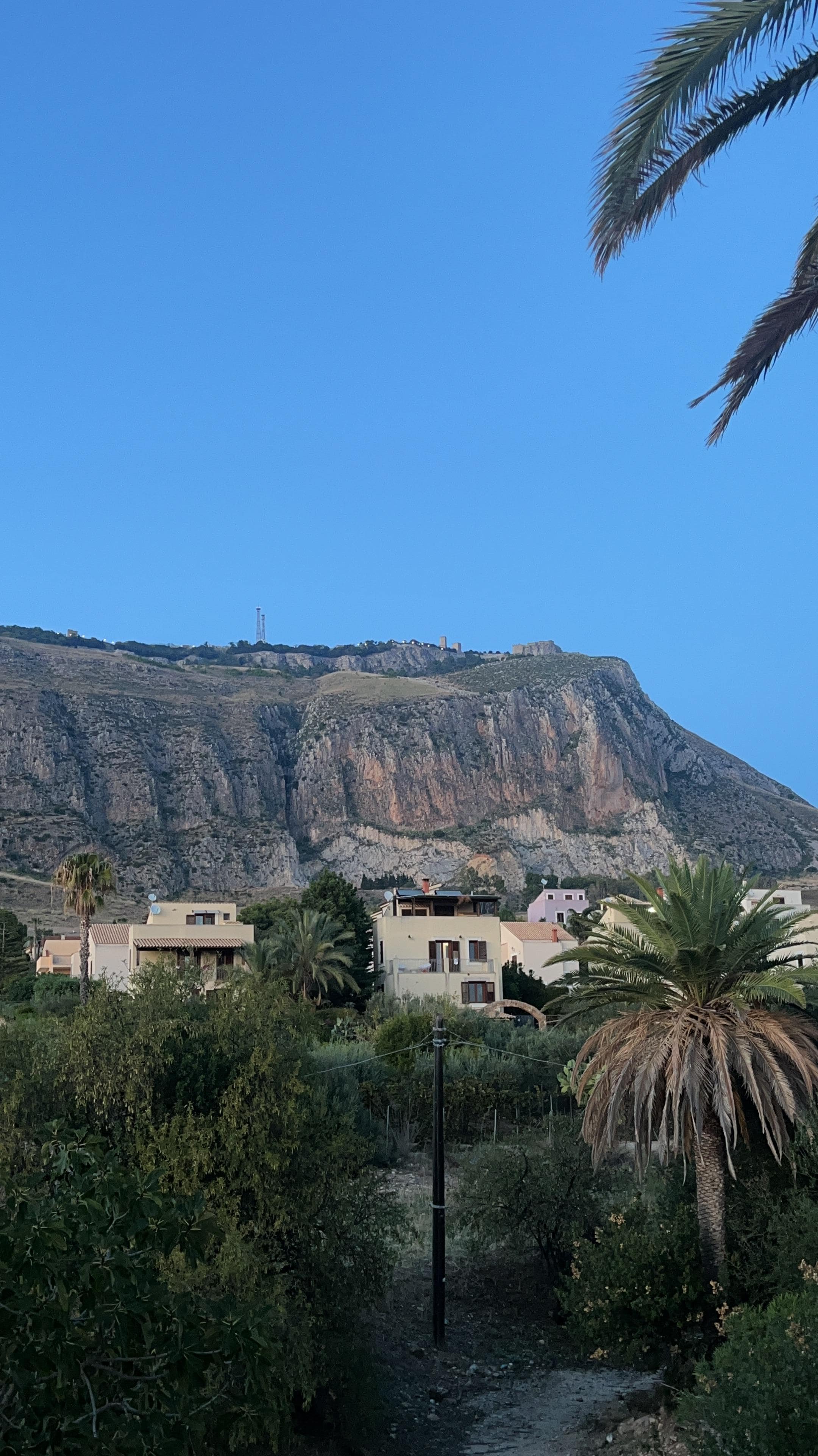 The view from the outdoor dining space 