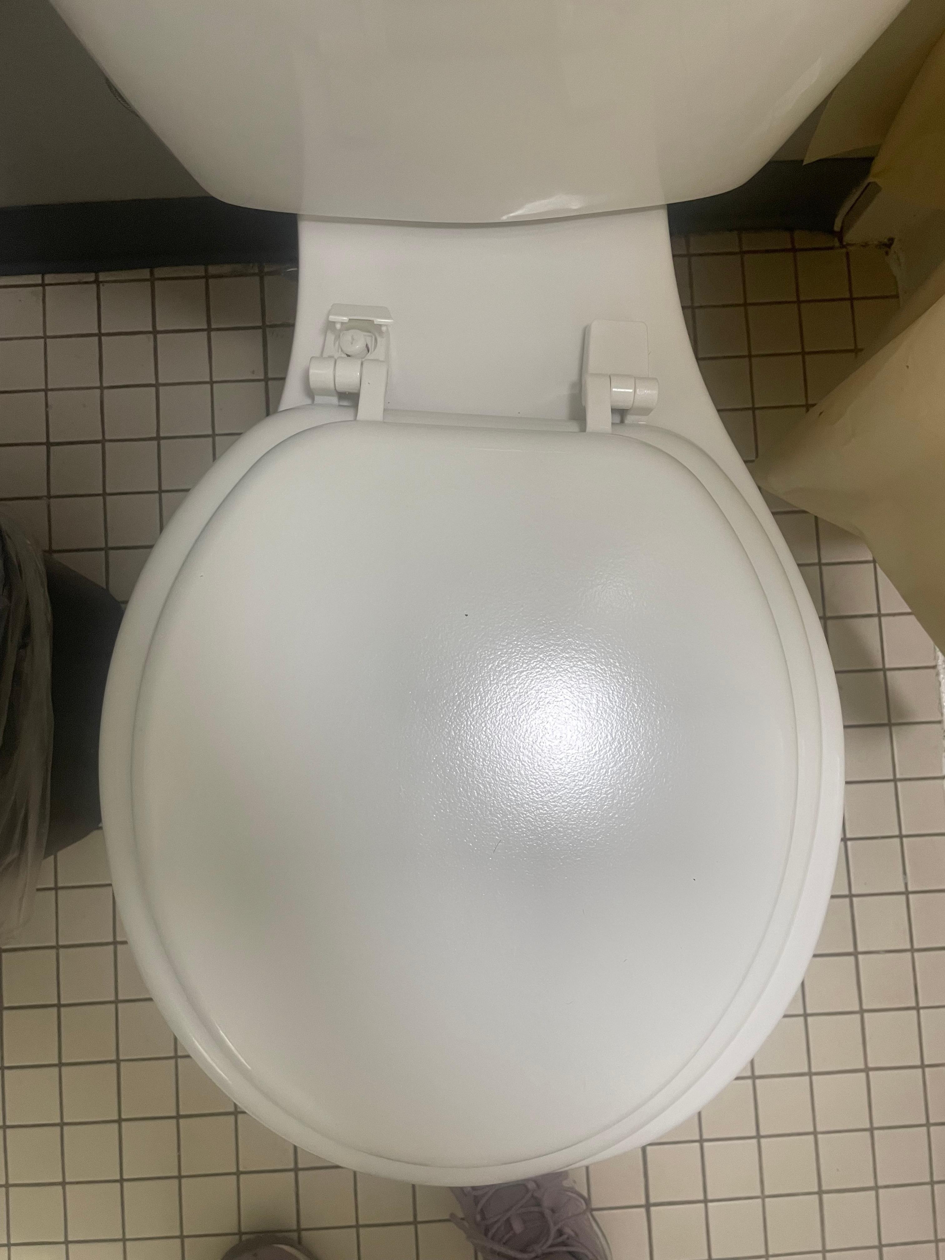 broken toilet seat