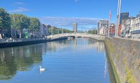 H’Penny Bridge with a swan