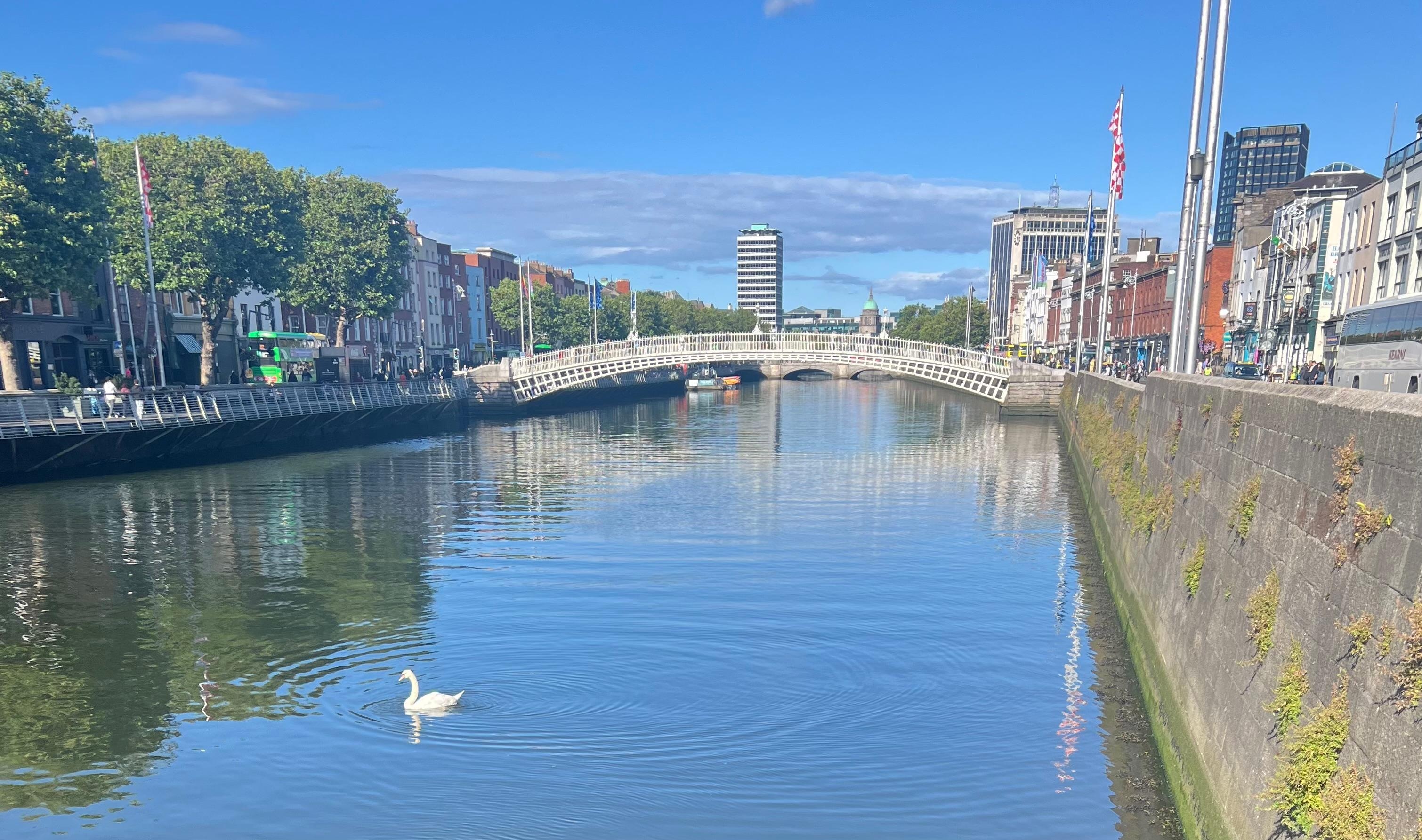 H’Penny Bridge with a swan