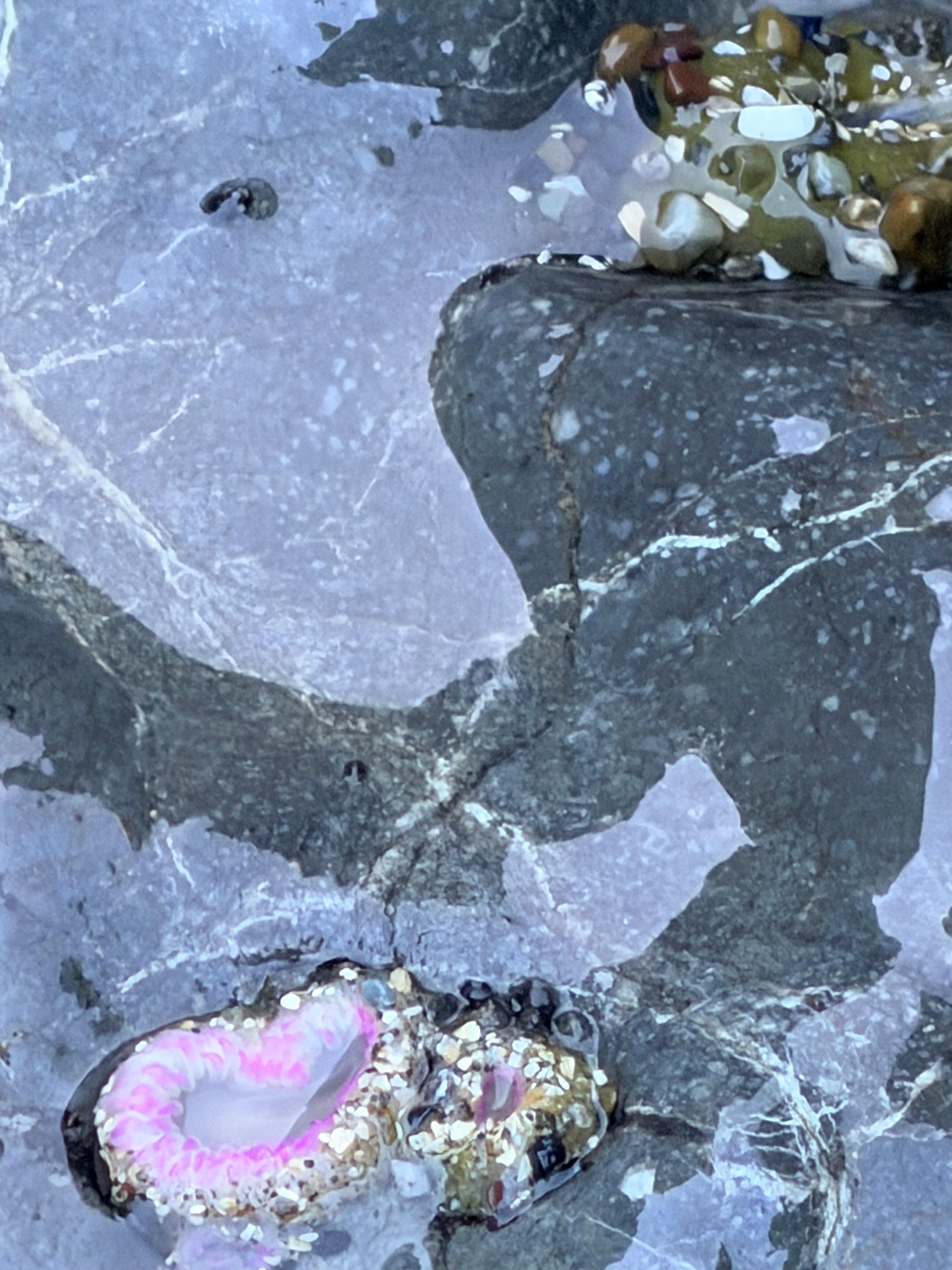 Beautiful beach accessed by a short trail from the house