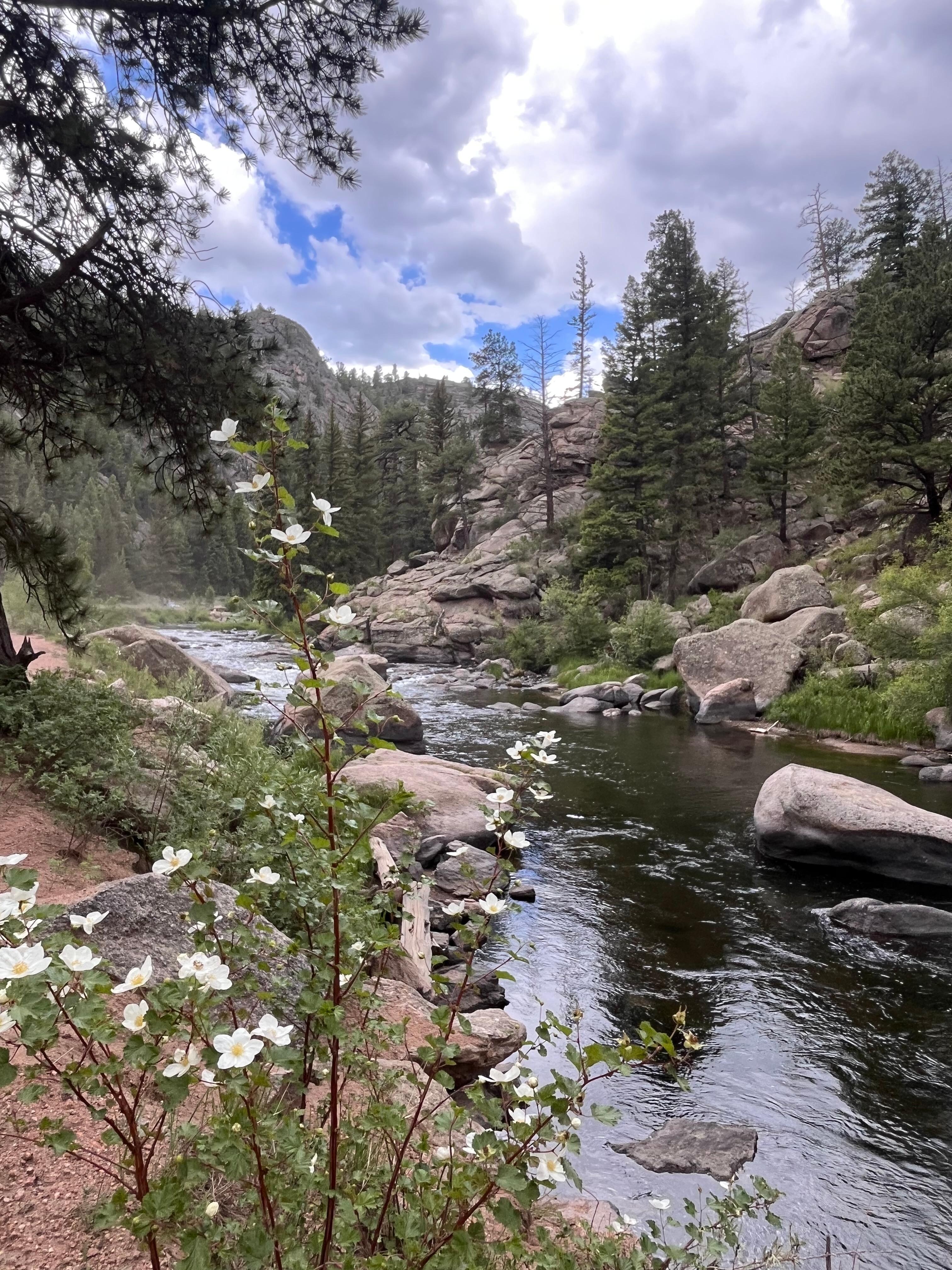 Eleven mile canyon recreation area