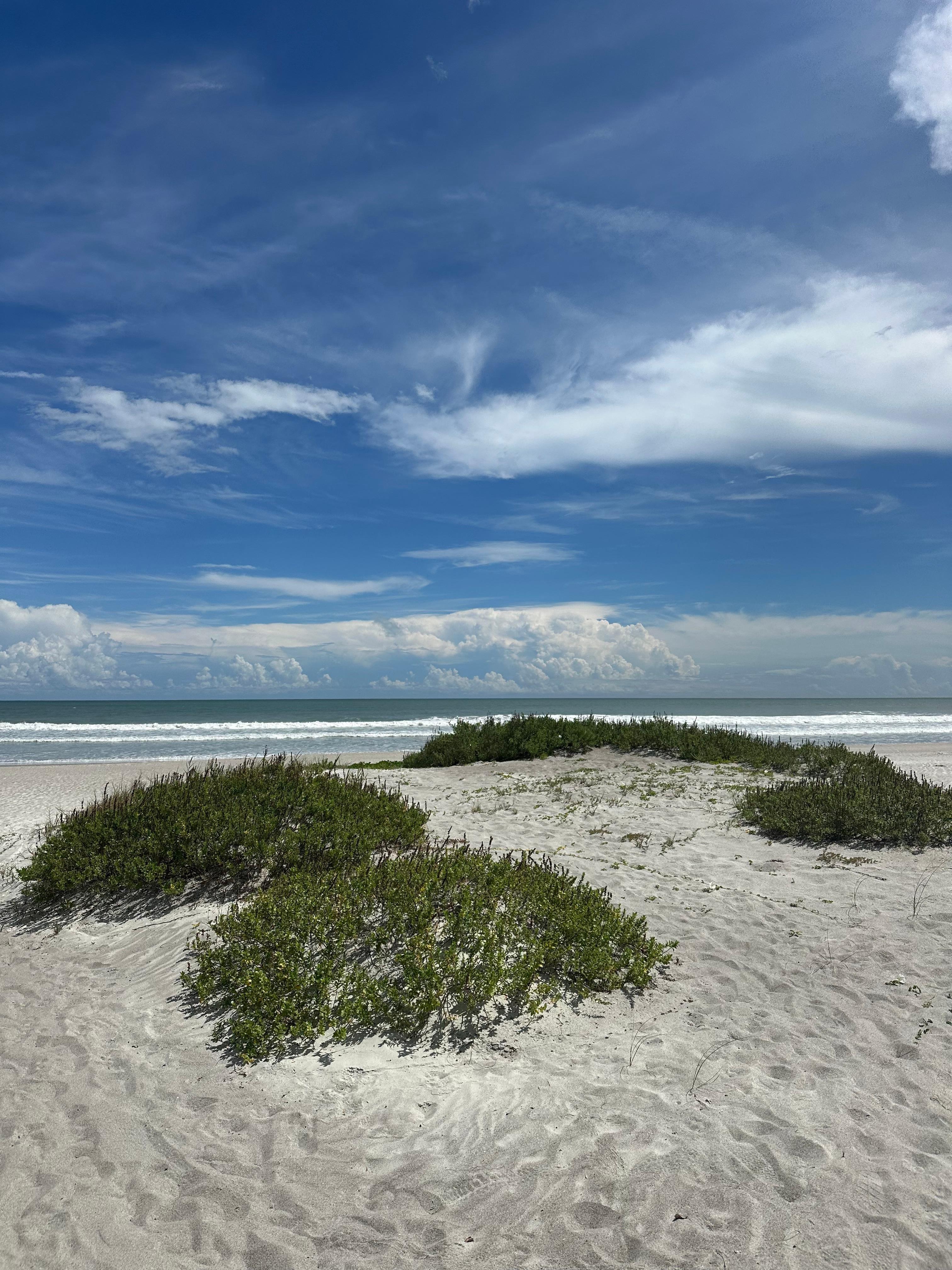 Right across the street. 