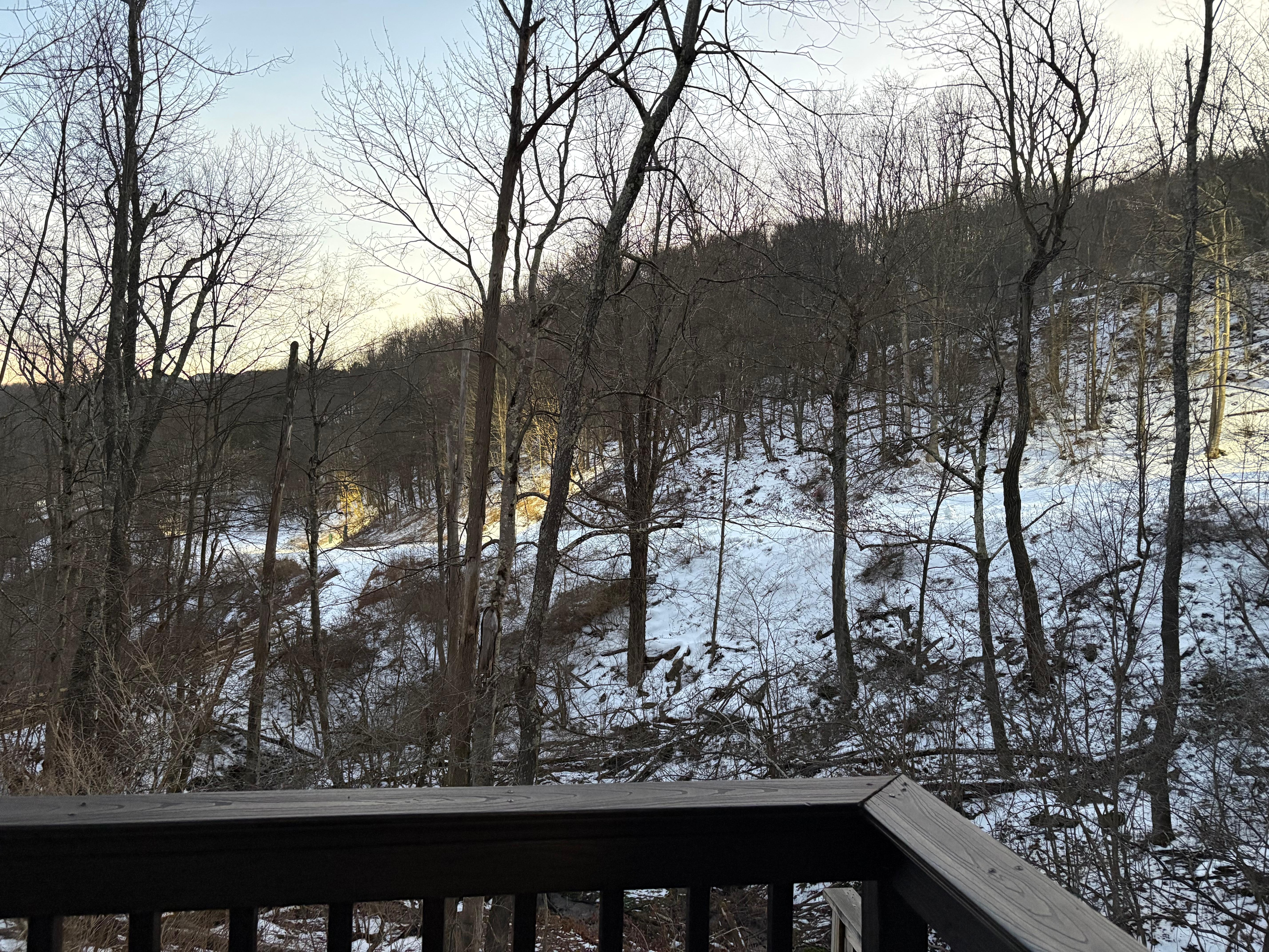 View of the slopes from house.