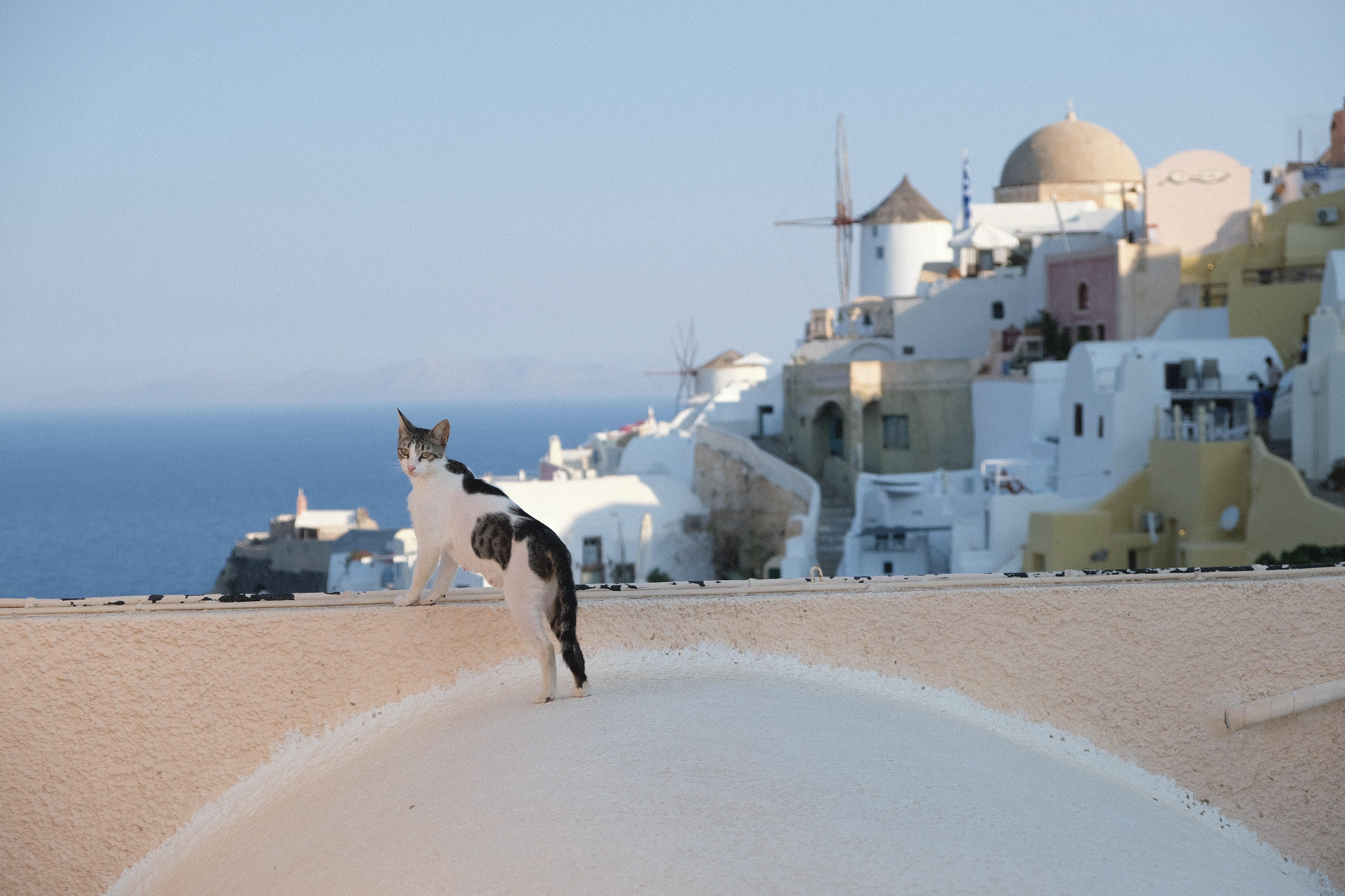 Oia