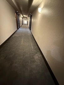 Water damage on wall and wet carpet