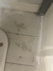 More paint particles and chemical debris on the bathroom floor