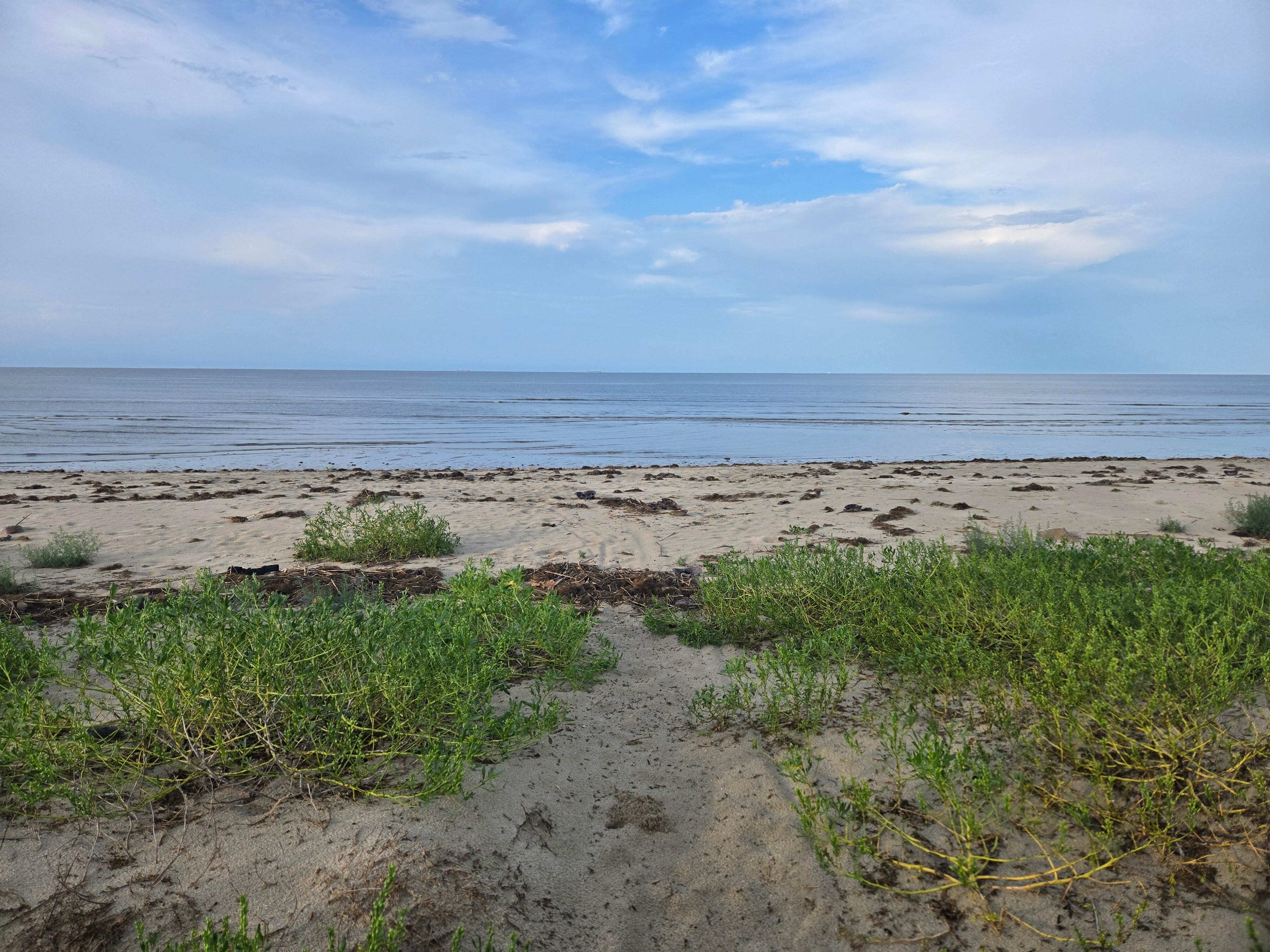 Beach behind the cottage