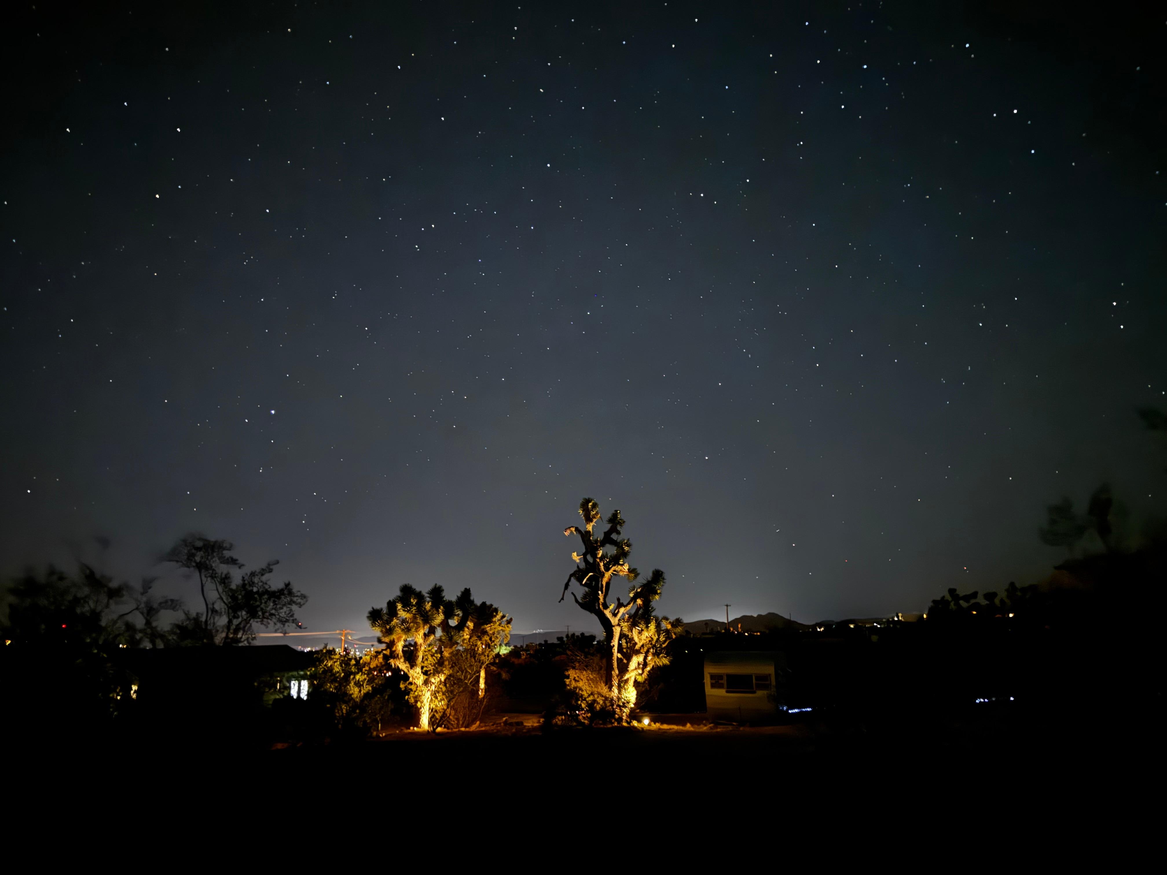 Stargazing in the yard