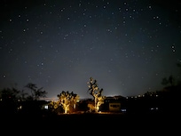 Stargazing in the yard