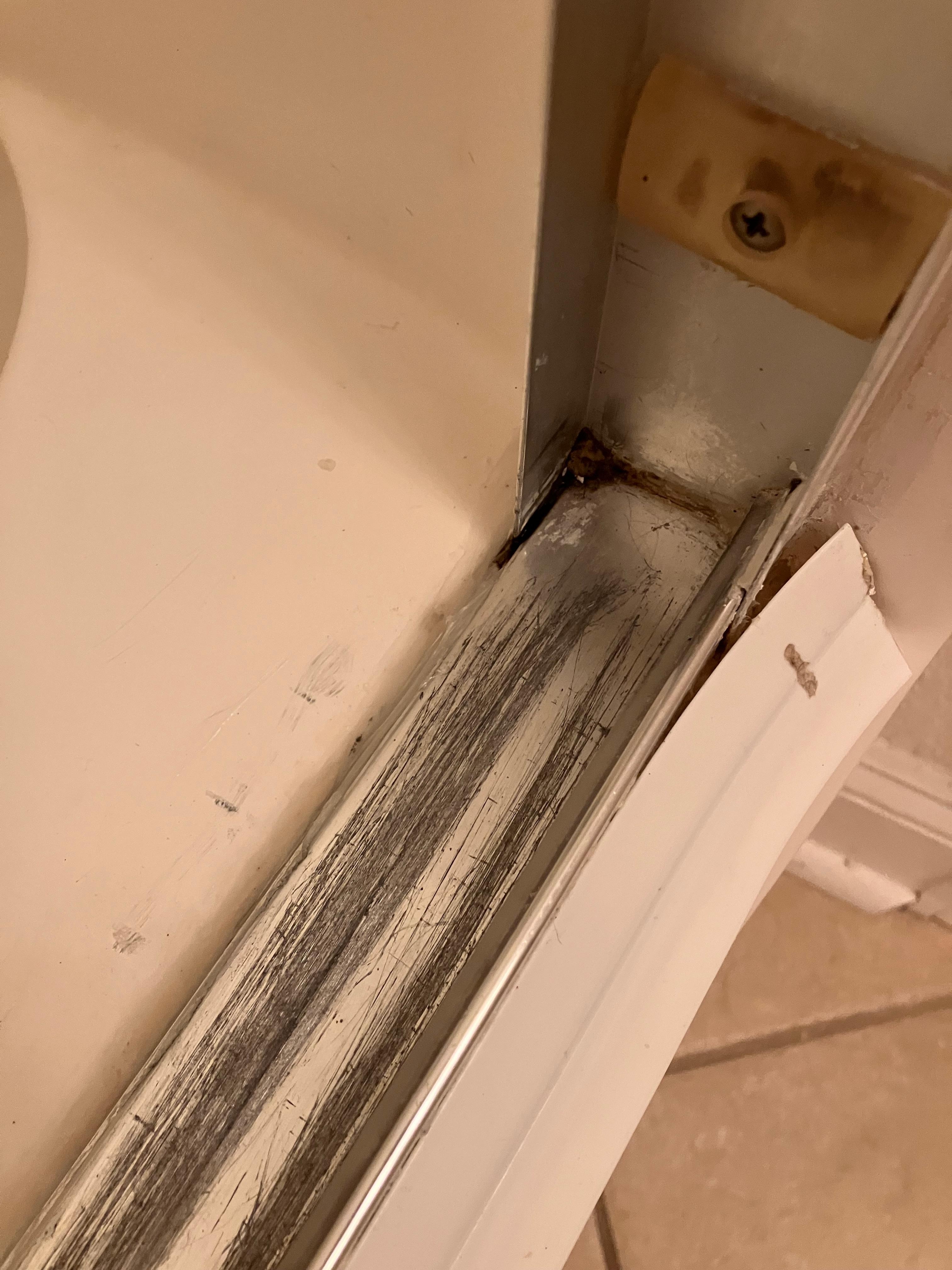 Shower in master bath 