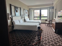 Sea view twin room