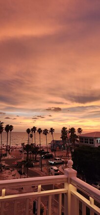Daiquiri Deck Anna Maria Island