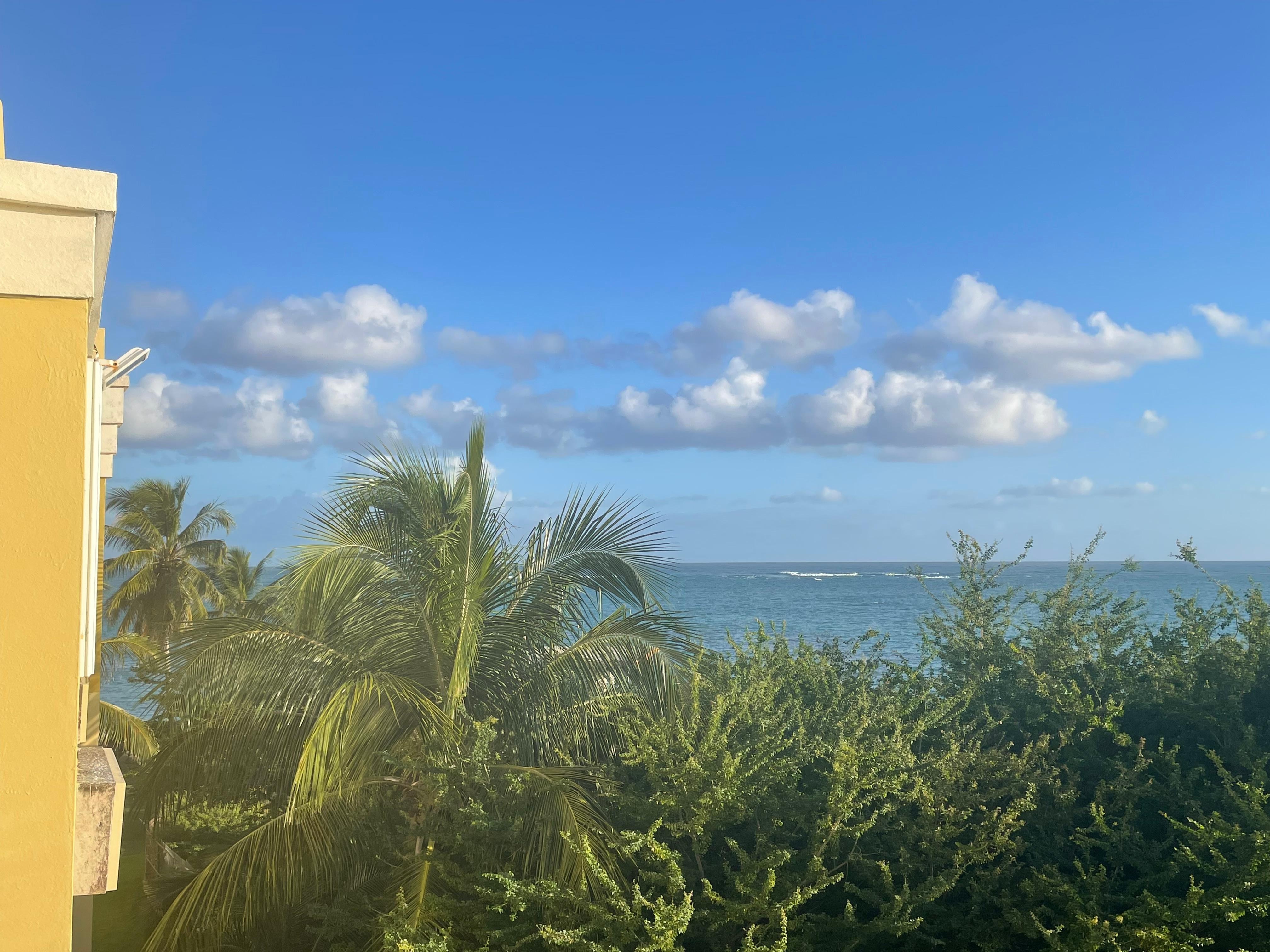 Rooftop terrace view