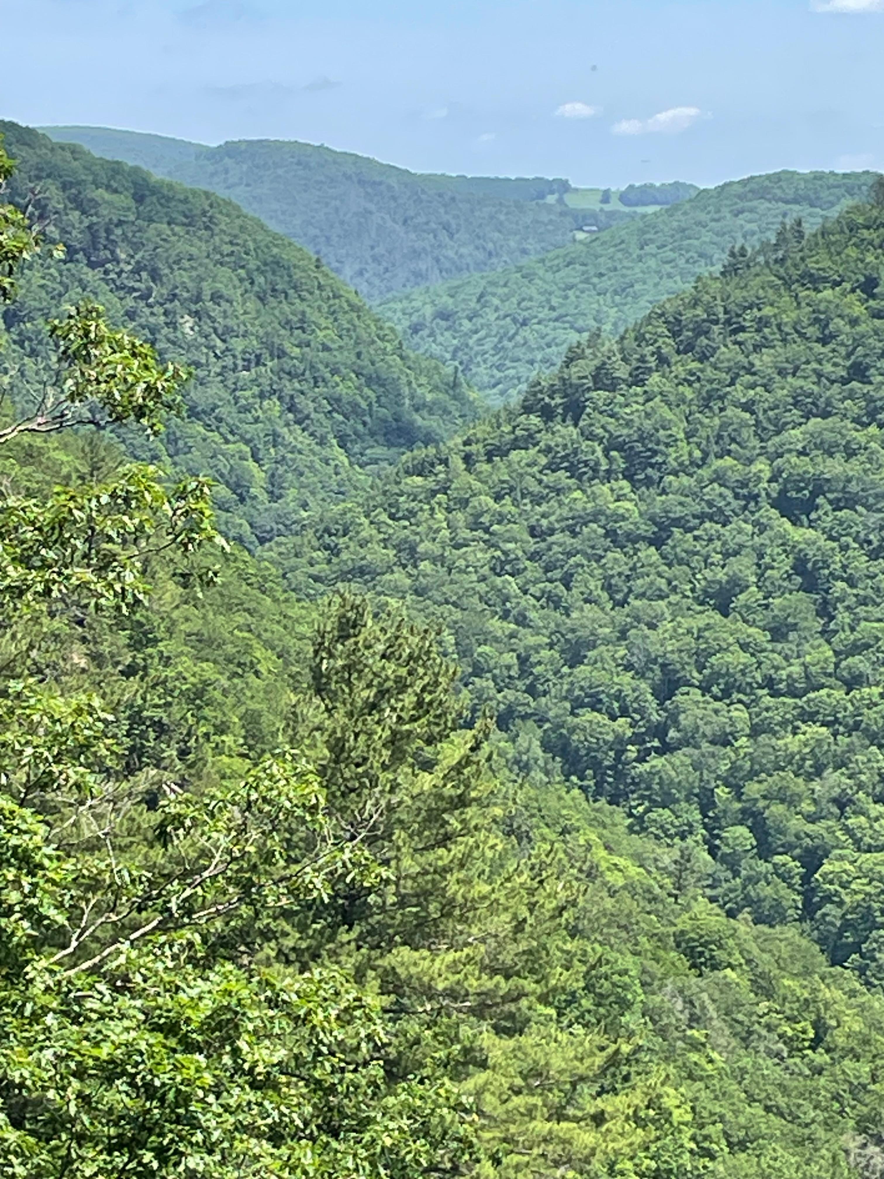 vista at Colton Point Park