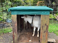 ケンちゃん
毎朝、えさやりが体験できます(無料)