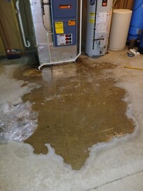 Standing water in basement