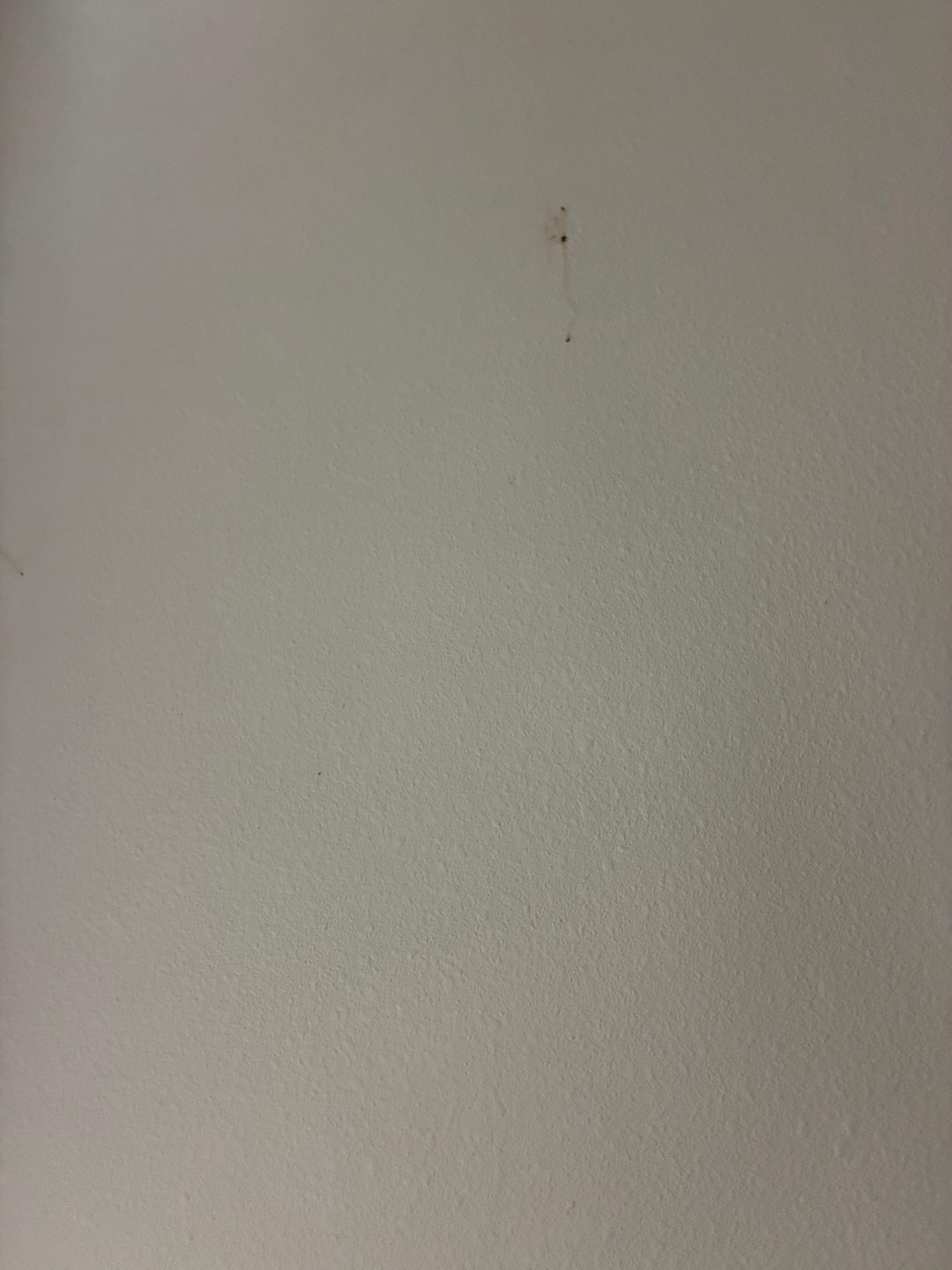 Stain on wall