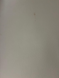 Stain on wall