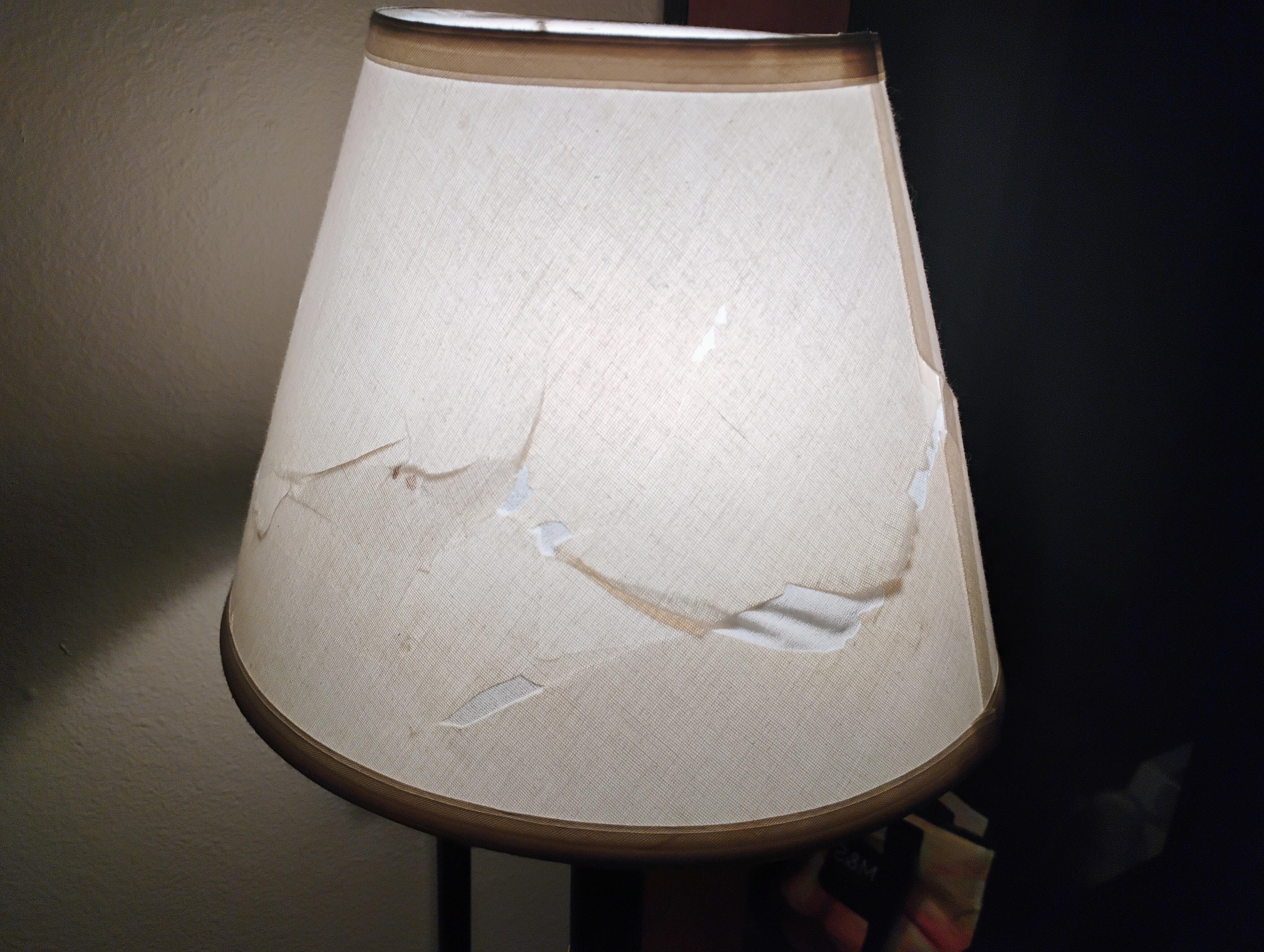 Torn lamp shade