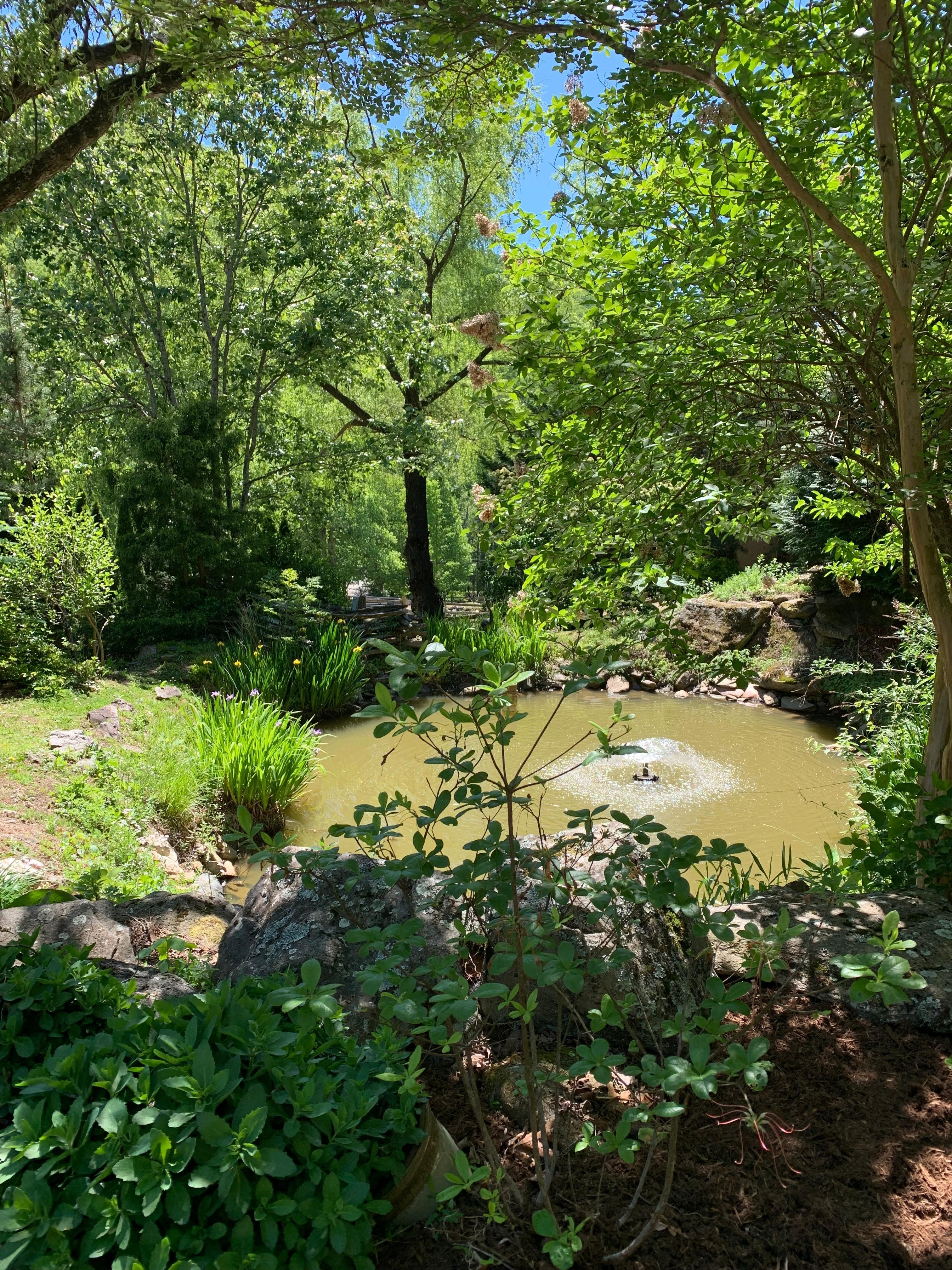 Small pond