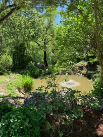 Small pond