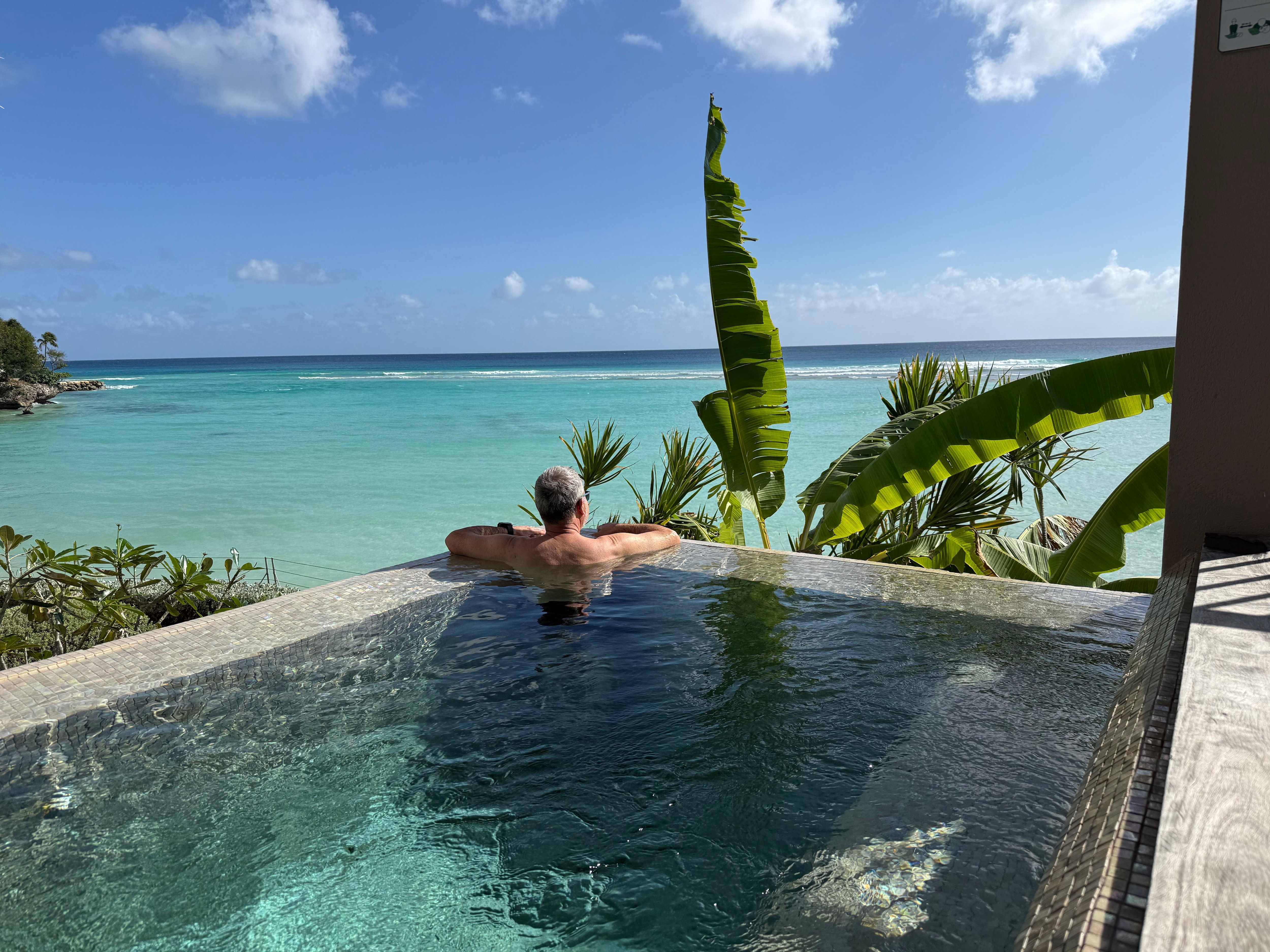 Handy plunge pool with great views