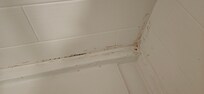 Hair on the shower floor
