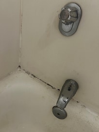 Mold around the tub