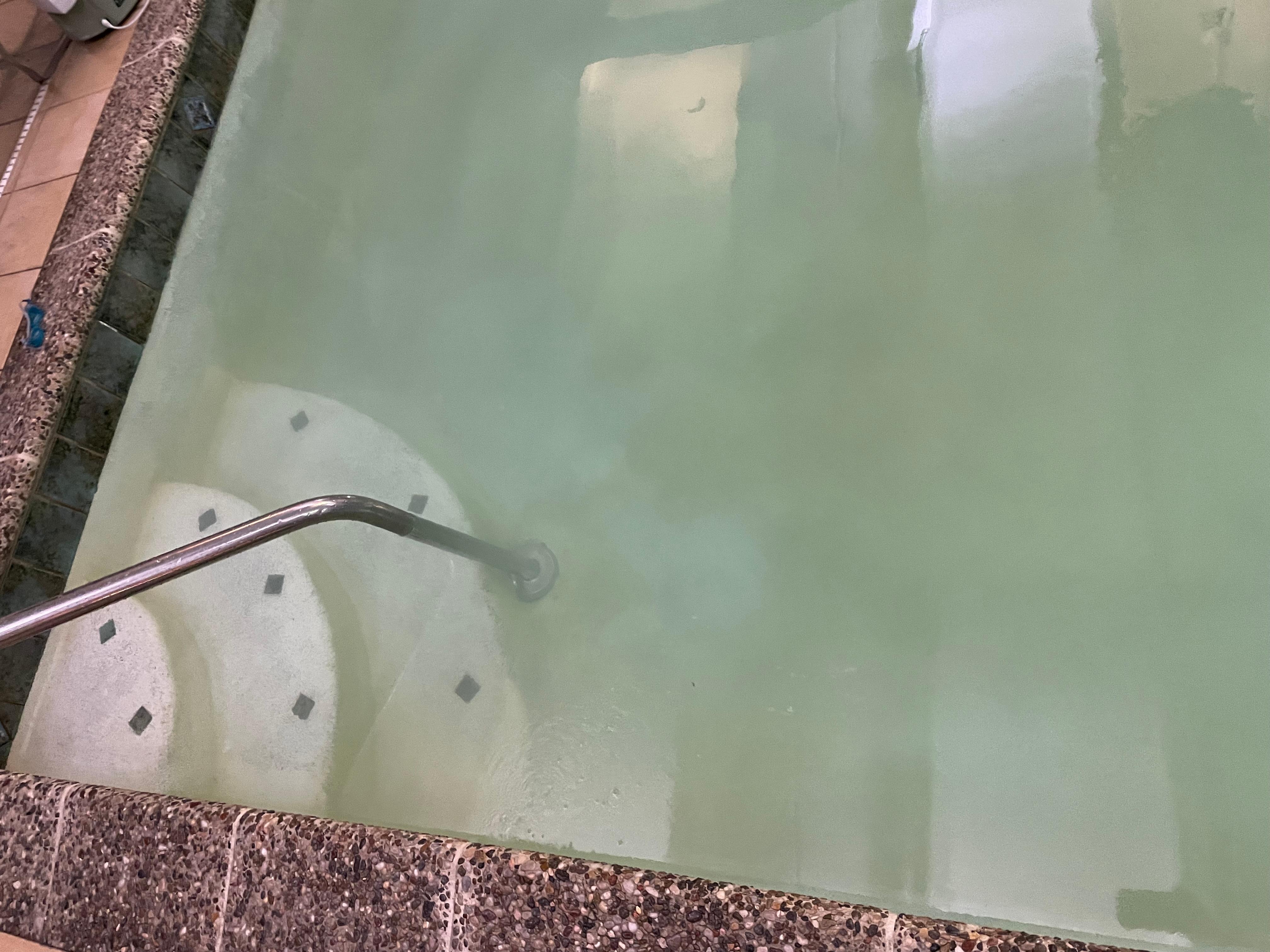 Algae in pool from lack of chlorine and cleaning. 