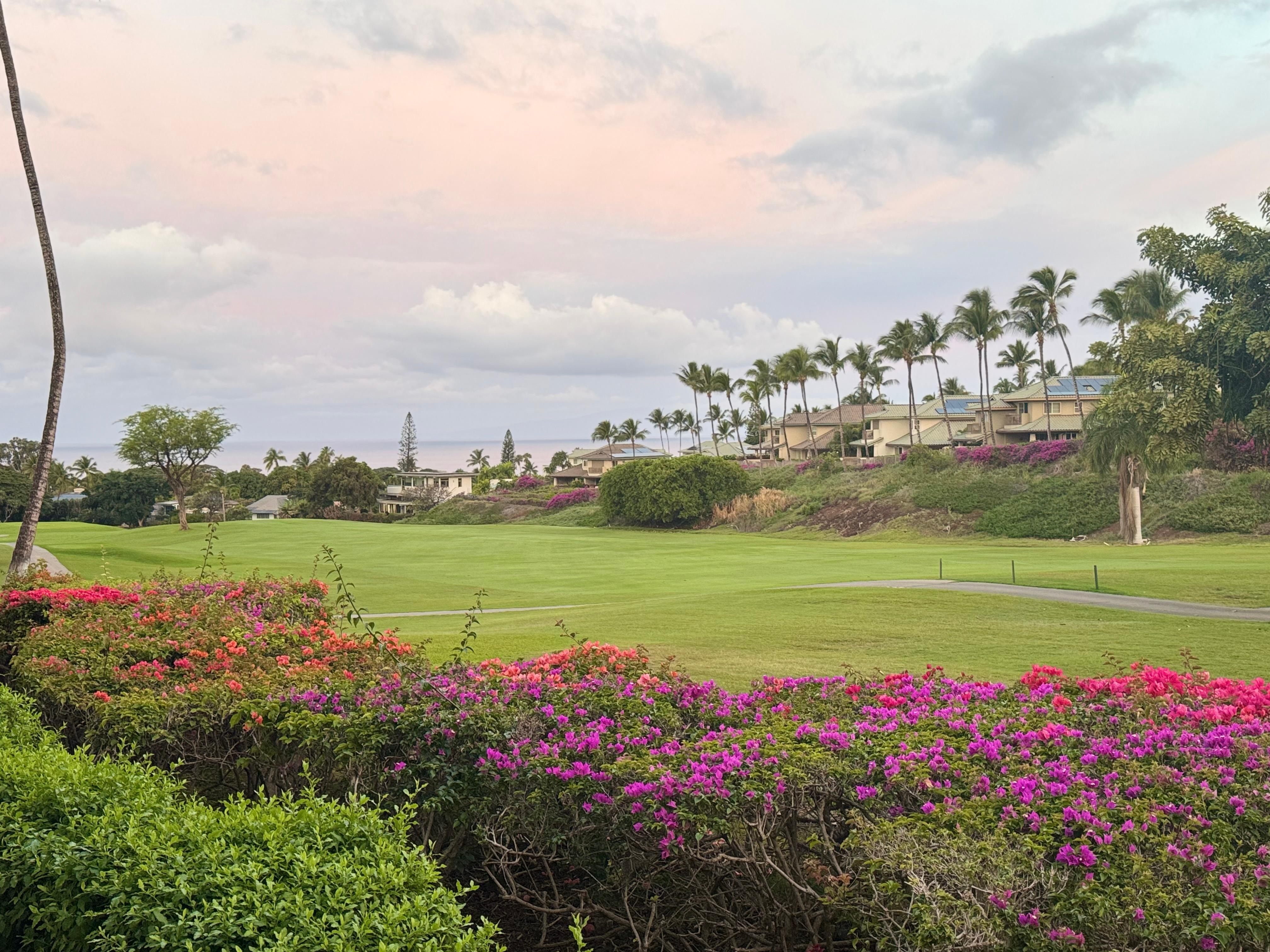 View from outdoor patio. Located on the second hole of the Walia Blue Course.