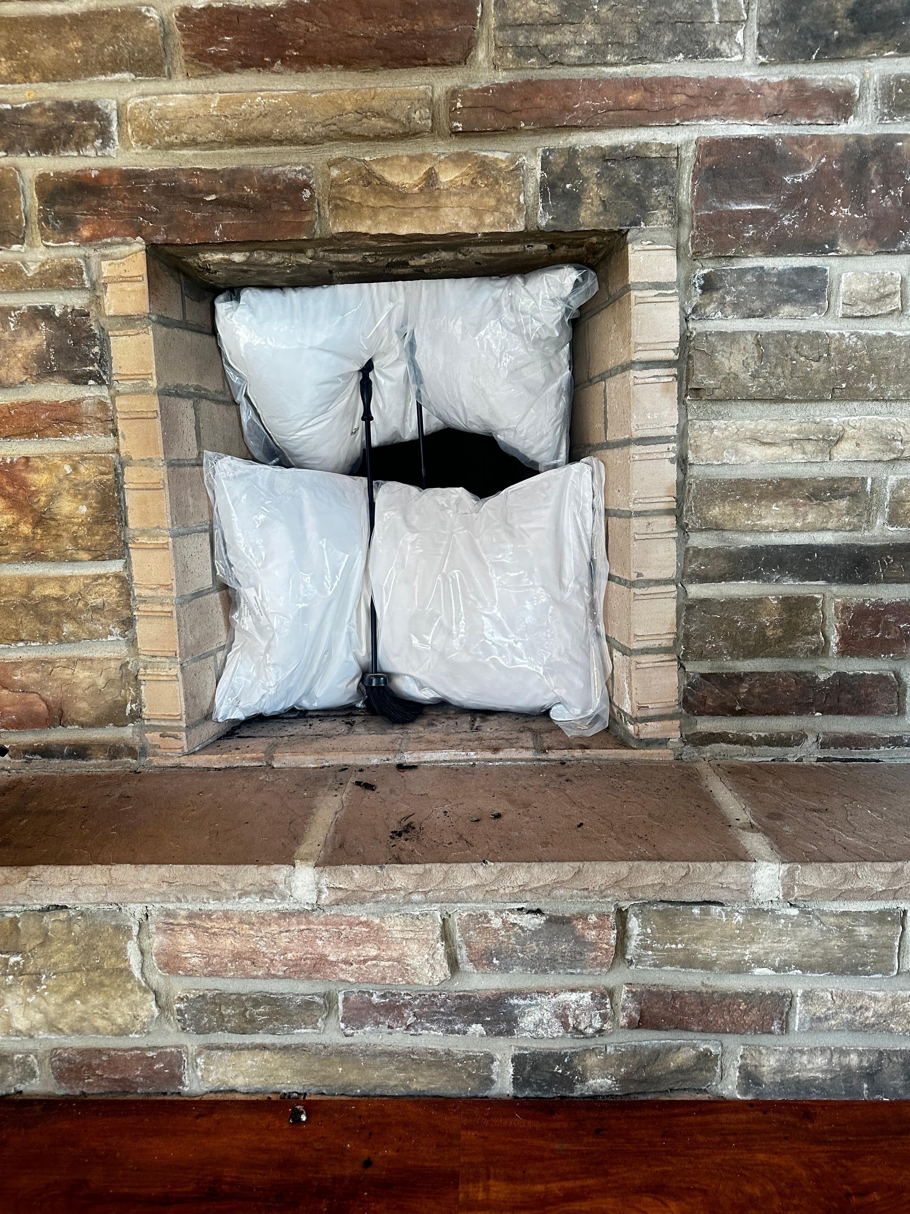 Holes in the fireplace to the exterior left guests exposed to below freezing temperatures and critters seeking shelter. 