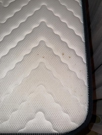 Red, small marks, clearly indicating bedbug blood