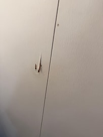 Peeling Paint