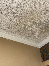 Ceiling in the kitchen.