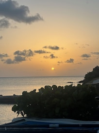 View from dining