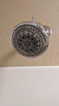 Shower head