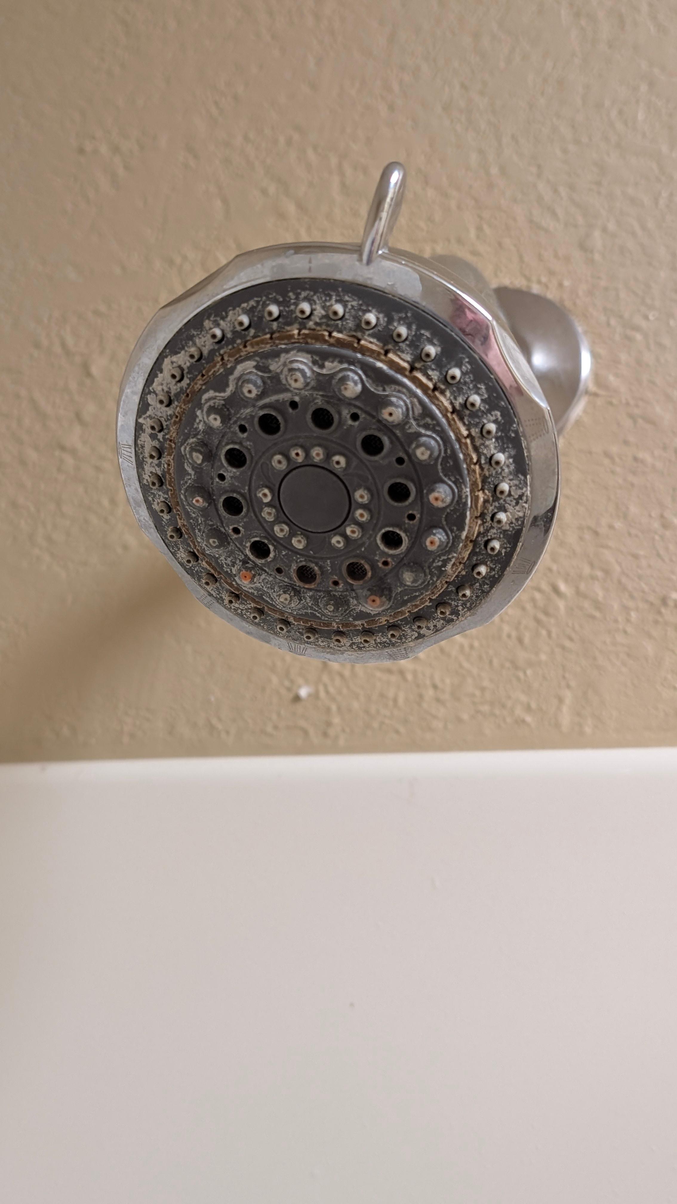 Shower head