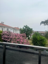 Manzara
