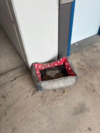 This container had broken glads