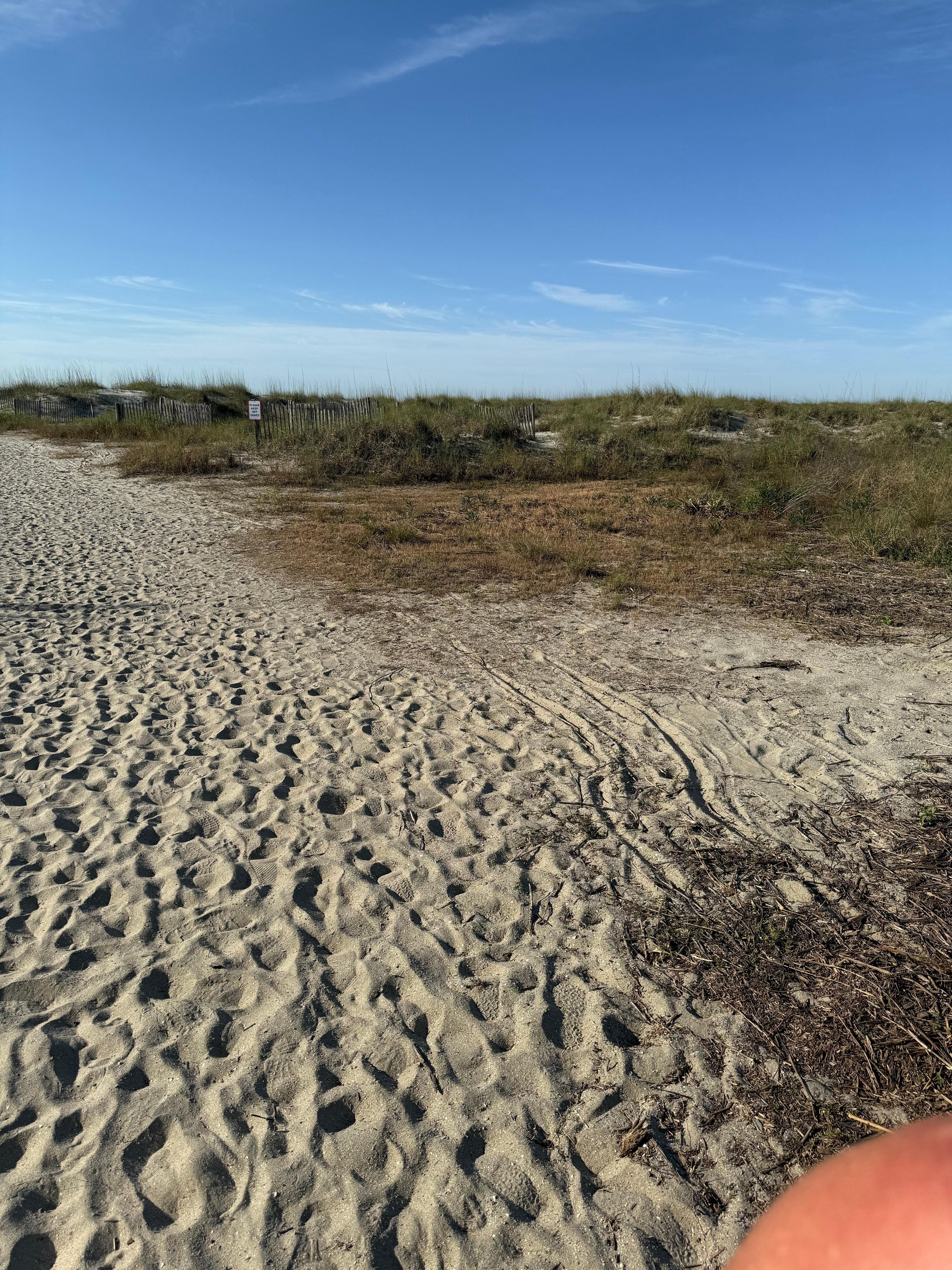 Path to the beach