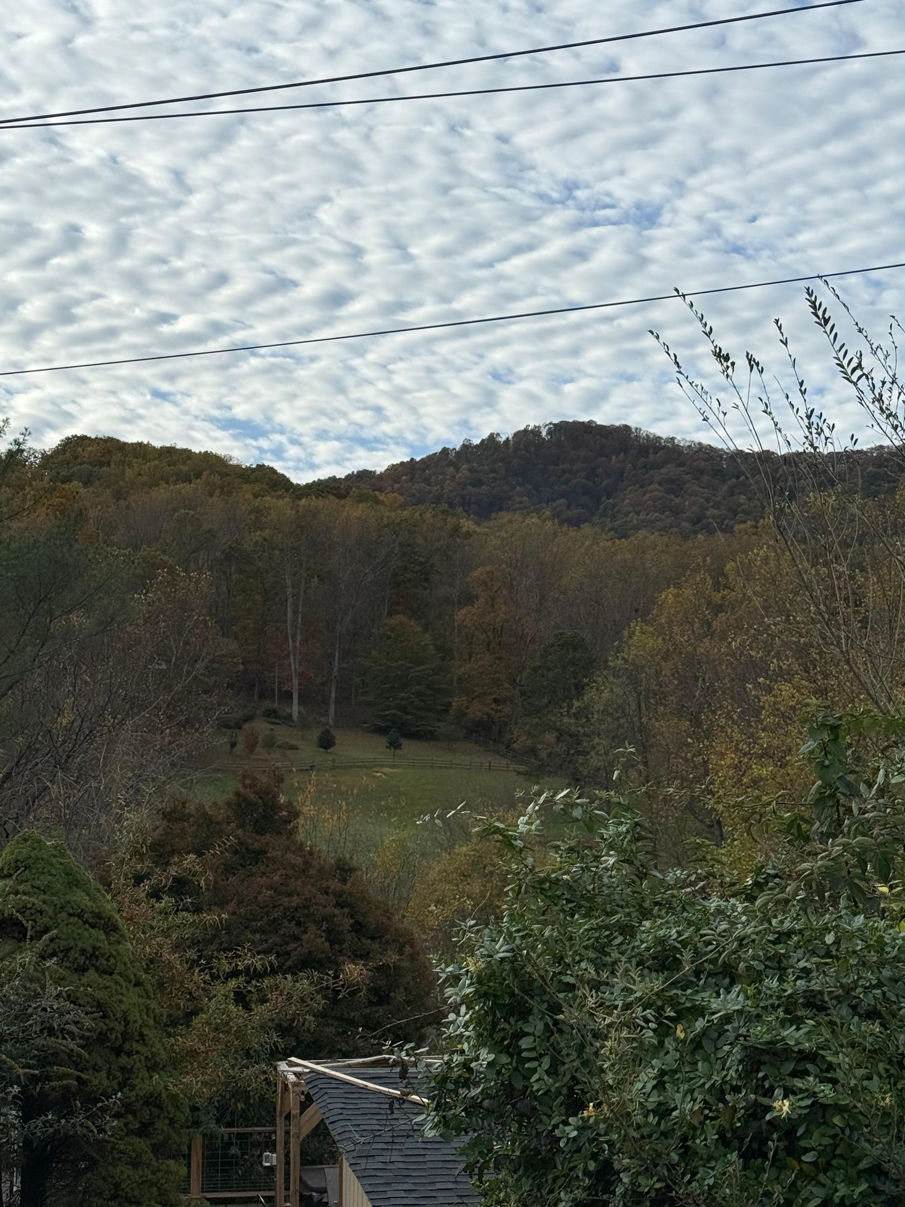 Another view from the porch. 