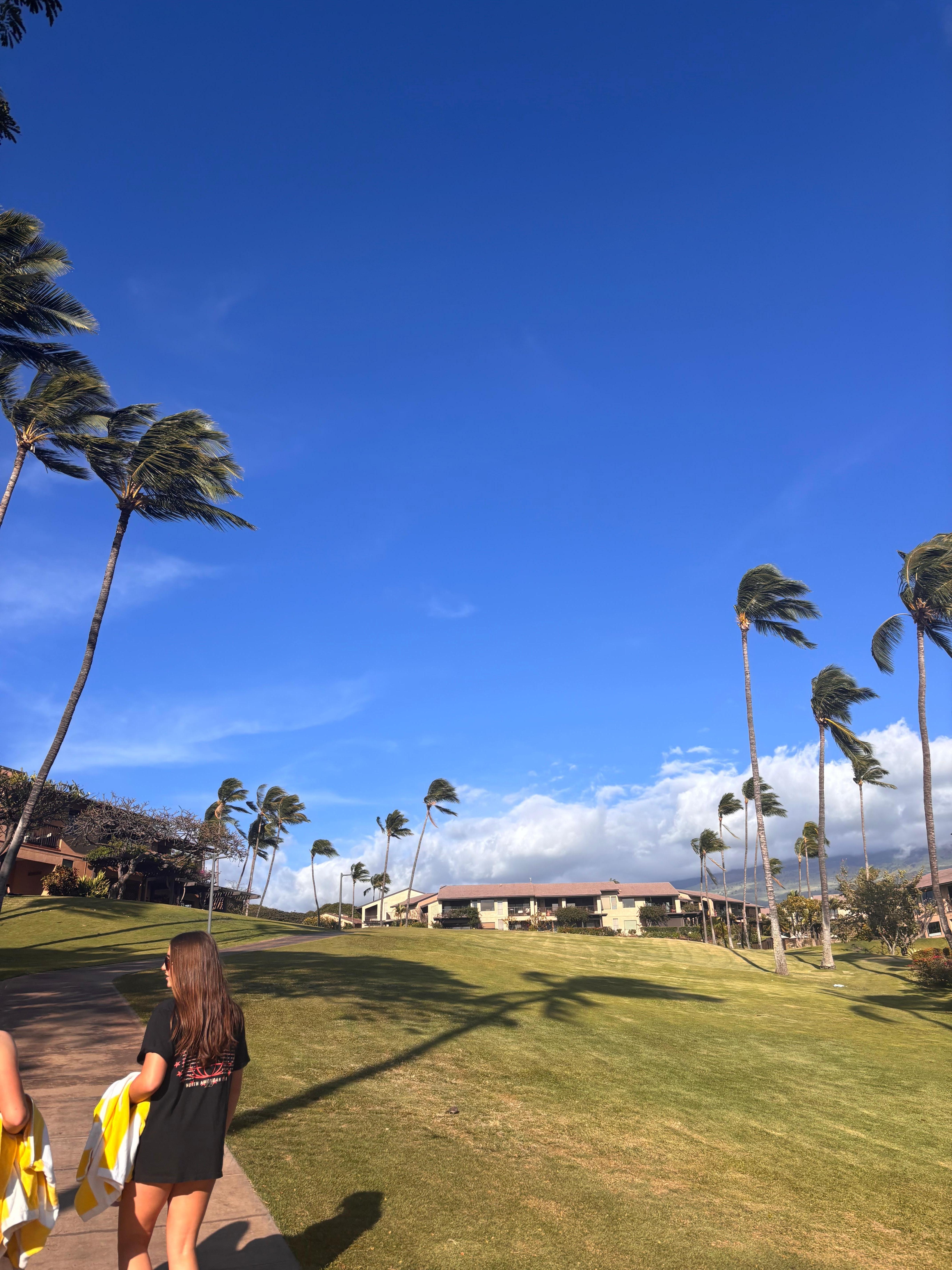 The walk to the pavilion 