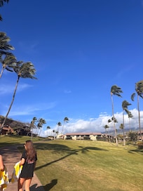 The walk to the pavilion